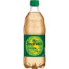 Seagram's Ginger Ale, 20 Oz. Bottles, 24 Pack